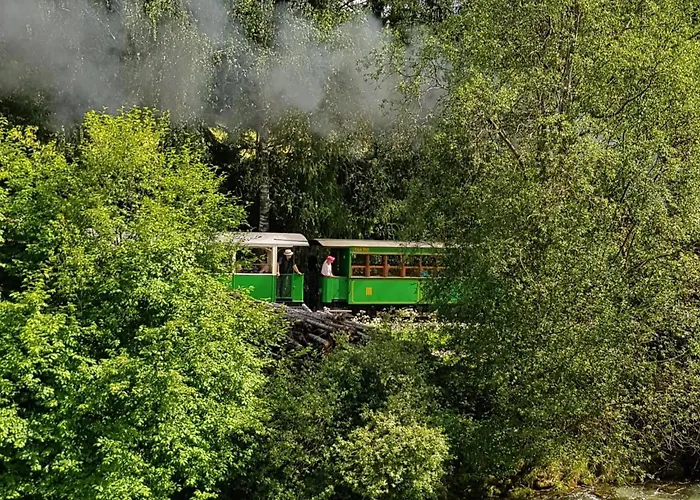 Apartamento Almapartment Pichl 8-2 *