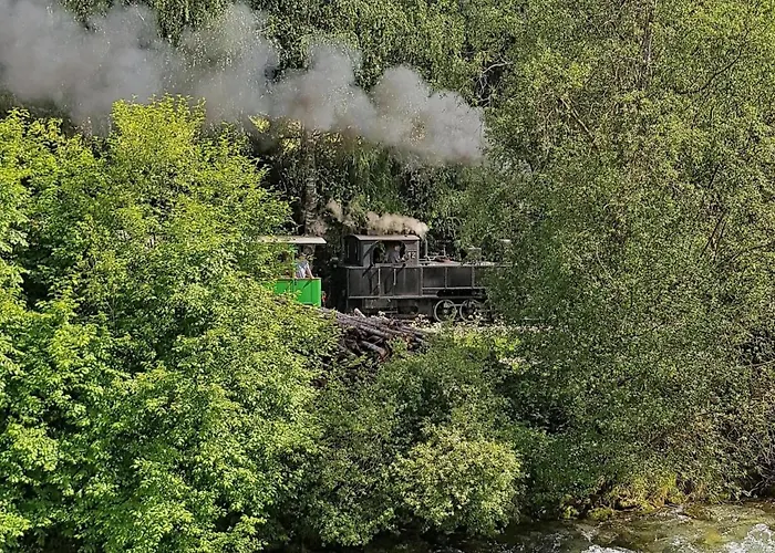 Almapartment Pichl 8-2 * Mauterndorf (Salzburg)